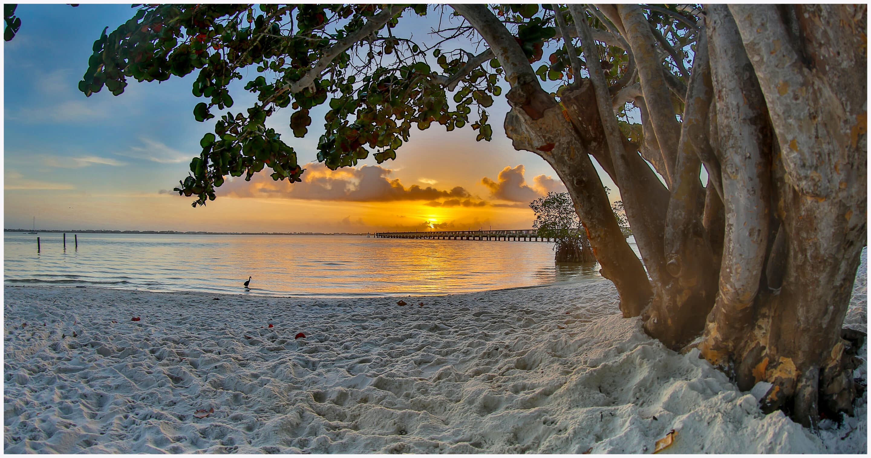 indian river county florida indian river county florida